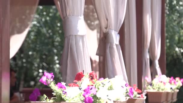 Beautiful Spring Flowers Leaves Planter Window — 비디오