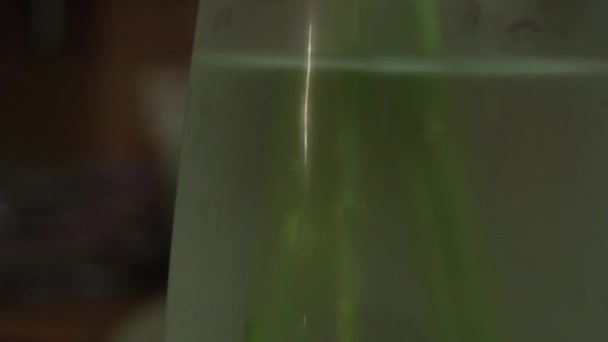 Ein Strauß Gelber Tulpen Einer Vase Auf Der Fensterbank Ein — Stockvideo