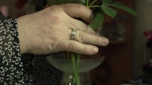 Boeket Bloemen Een Glazen Fles Hangt Aan Een Boom Huwelijksdecor — Stockvideo