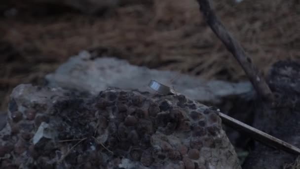 Мужчина воткнул палку в камни при тушении пожара — стоковое видео