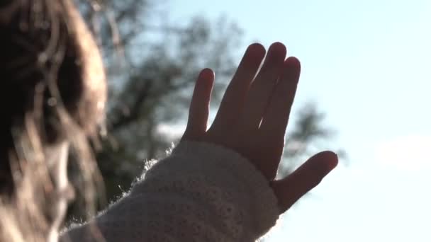 Menina mão tenta pegar os raios do sol — Vídeo de Stock