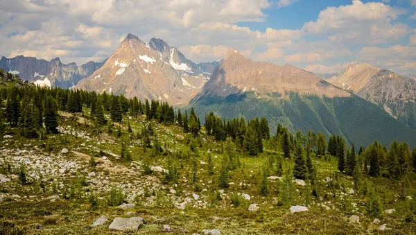 Jumbo Pass Paesaggio montano Columbia Britannica Canada — Foto Stock