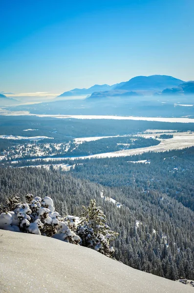 加拿大英属哥伦比亚斯旺西的新雪 — 图库照片