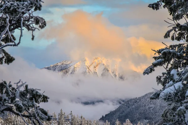 Coucher de soleil sur la montagne nuageuse à travers les arbres Hiver — Photo