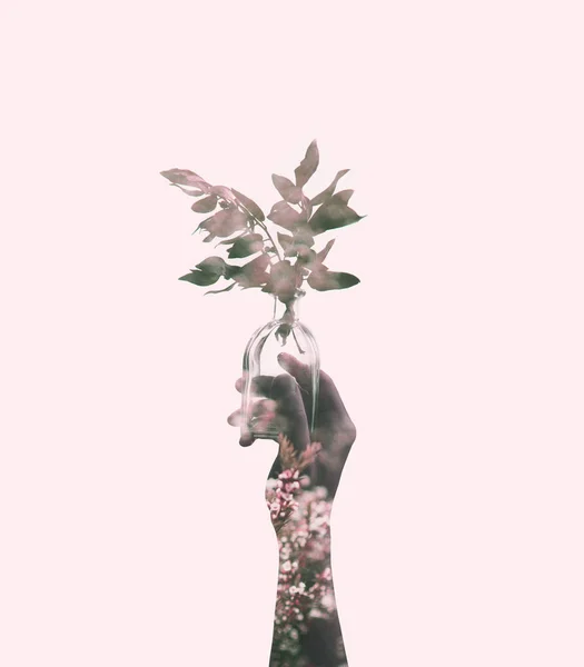 ピンクの枝が付いている瓶を持っている手 — ストック写真