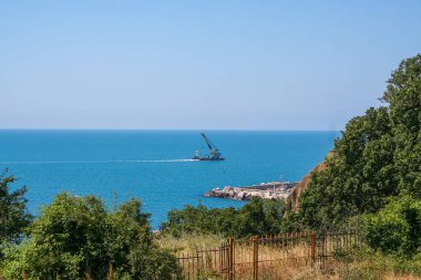 Yüzen vinç birlikte gider