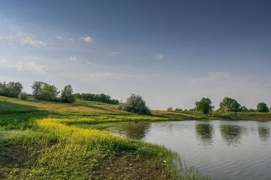 Rezervuar ve alan shelterbelts köyü yakınlarında alanlardaki