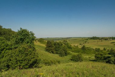 Rezervuar ve alan shelterbelts 