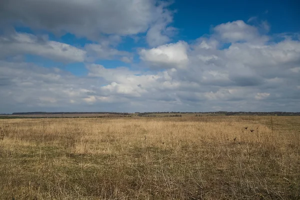 Fields on the shore of the Dniester river — Stock Photo, Image