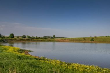Rezervuar ve alan shelterbelts
