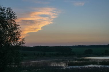 Buğday tarlasında gün batımı