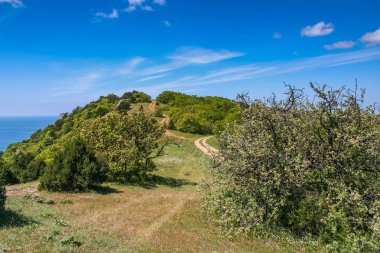 kar maskesi Köyü yakınındaki çevresindeki kırsal