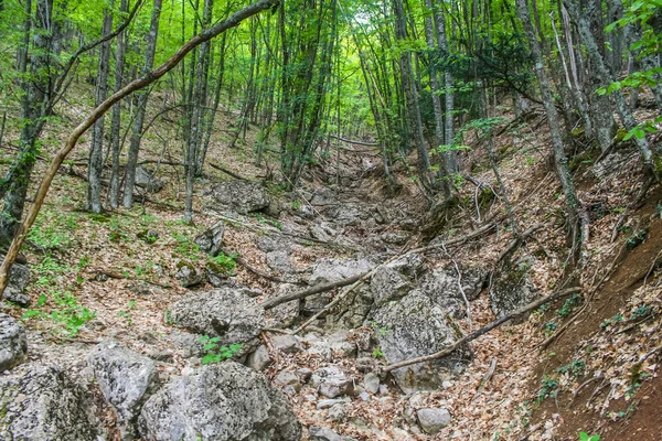 El Gran Cañón — Foto de Stock