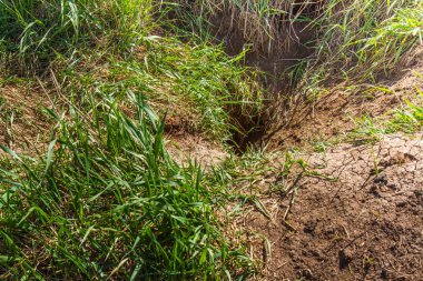 Kil ocağı Pology kasaba yakınlarında