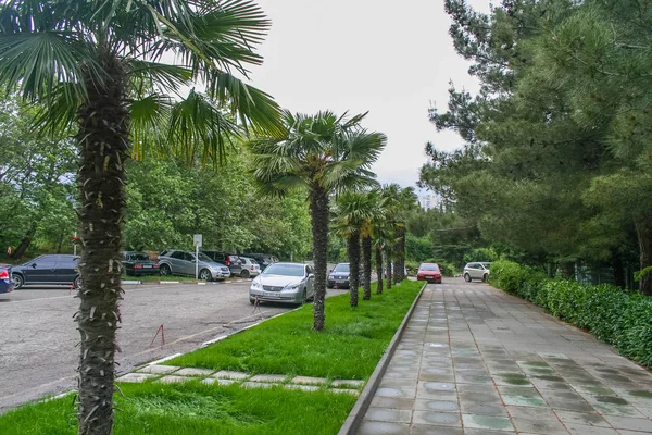De toegangsweg naar het sanatorium "Crimea" in Partenit — Stockfoto