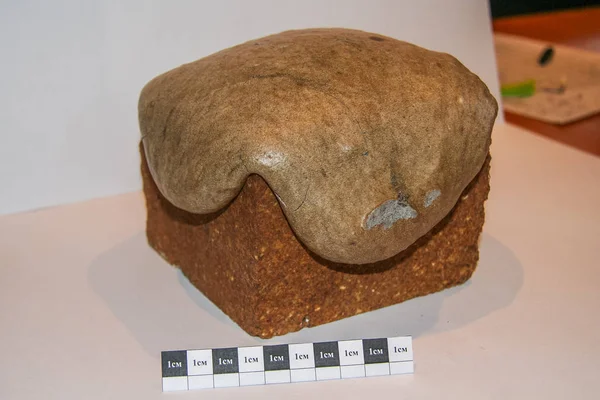 Sinterlenmiş örnek toplu kalıplama