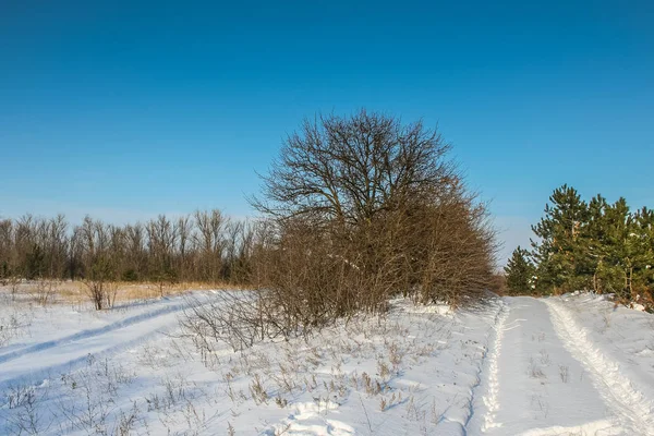 Kış aylarında Ukrayna bozkır