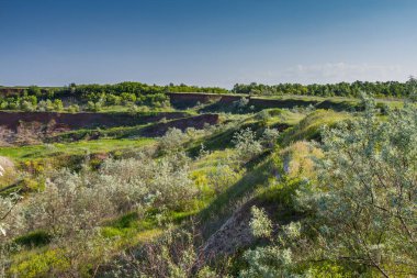 Bahar Ukraynalı bozkır 