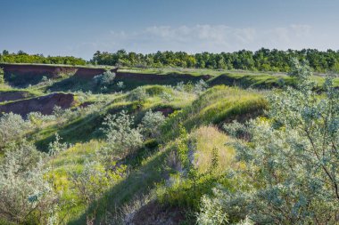 Bahar Ukraynalı bozkır 