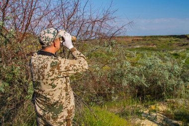 Forester hayvanlar saatler 