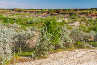Bahar Ukraynalı bozkır 