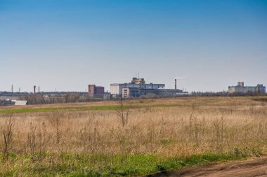 Yolun ortasında Ukraynalı bozkır