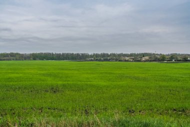 Bir köprüden diğer tarafa demiryolu