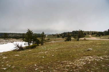 Ai-Petry dağda eski yol.