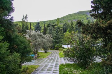 Park sanatoryum Crimea