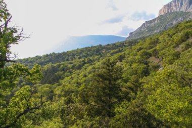 Laspi Köyü yakınındaki dağlarındaki