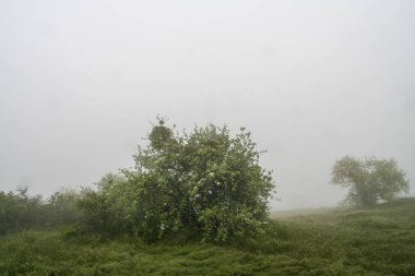 Mangup kale kalıntıları 