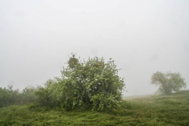 Mangup kale kalıntıları 