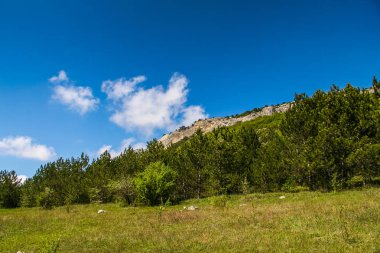 Mangush Yaylası yirmiden