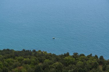 Laspinskaya defne ve Karadeniz