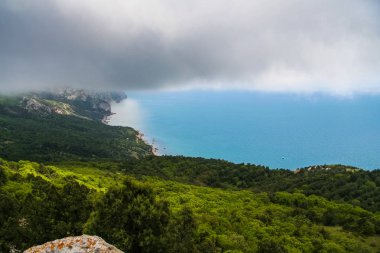 Laspinskaya defne ve Karadeniz