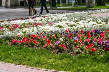 Çiçek çiçek yatak üzerinde dolgu üzerinde 