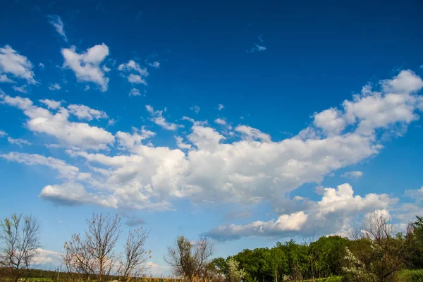 Taurian steppe near the Galyuki pond — Stock Photo, Image