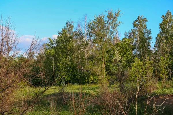 Taurian steppe near the Galyuki pond — Stock Photo, Image