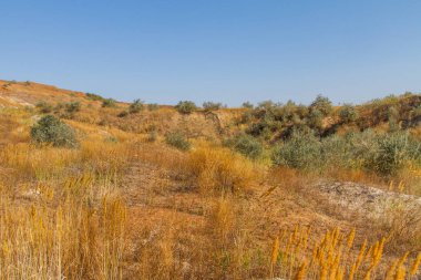 Ukraynalı bozkır kil ocağı