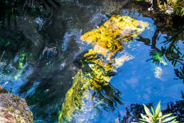Hierapolis antik kenti Antik şehir