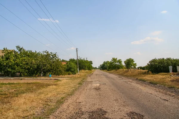 Bir toprak yol boyunca korunaklı orman kemer — Stok fotoğraf