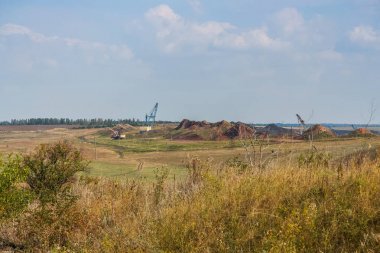 Alan koruma orman içinde Ukrayna bozkır