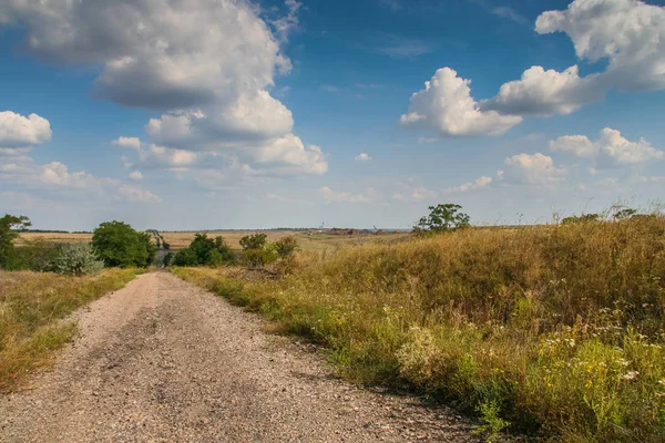 Alan koruma orman içinde Ukrayna bozkır
