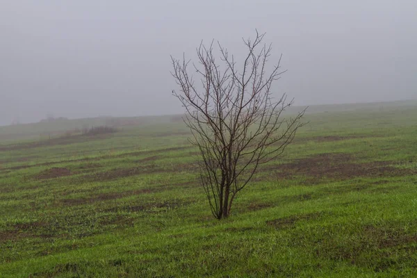 Steppe d'automne dans la région de Zaporozhye — Photo