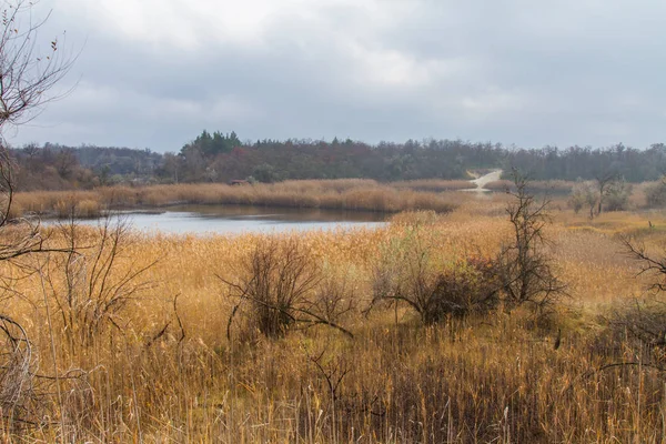 Stagno d'acqua dolce nella steppa ucraina — Foto Stock