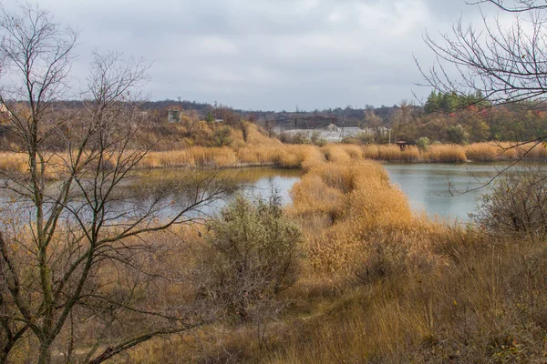 乌克兰草原上的淡水池塘 — 图库照片