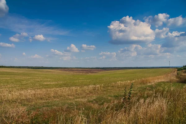 Plowed field after harvesting — Stock Photo, Image