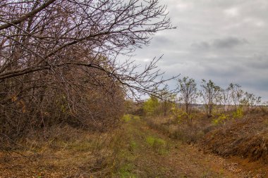 Sonbaharda Tavri bozkır