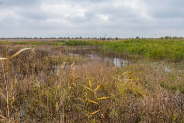 Sonbaharda Tavri bozkır