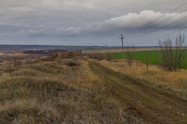 Sonbaharda Tavri bozkır